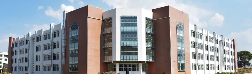 Bahir Dar University laboratory building with brick and white facades